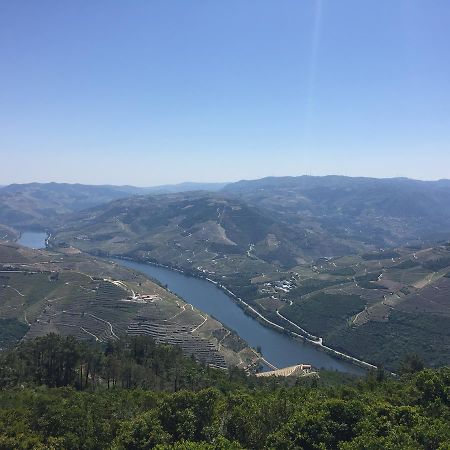 Quinta Da Vinha Morta Bed & Breakfast Lamego Exterior photo