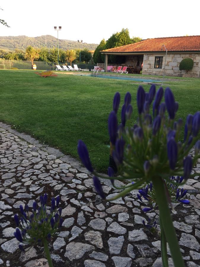 Quinta Da Vinha Morta Bed & Breakfast Lamego Exterior photo